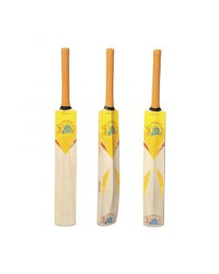 Ready to Roar - Kashmir Willow Bat